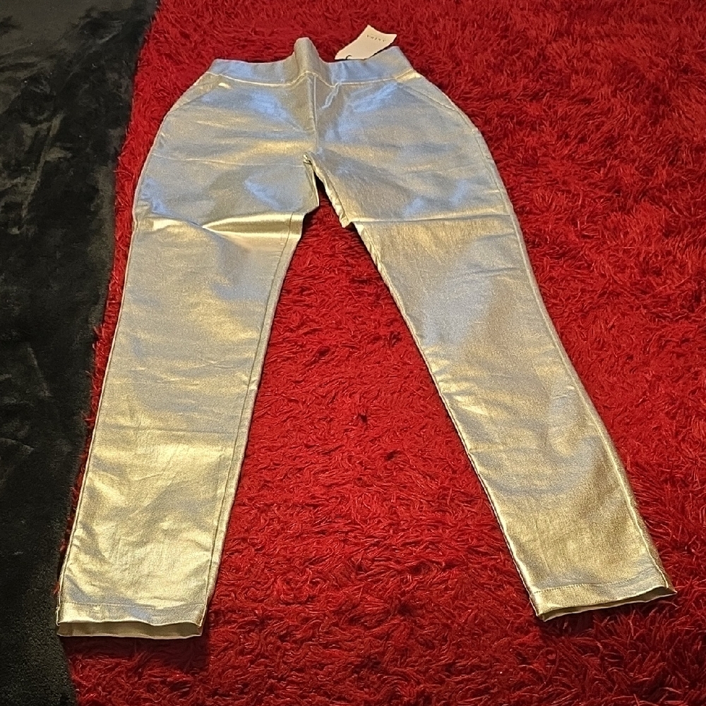 Akira Silver Pants